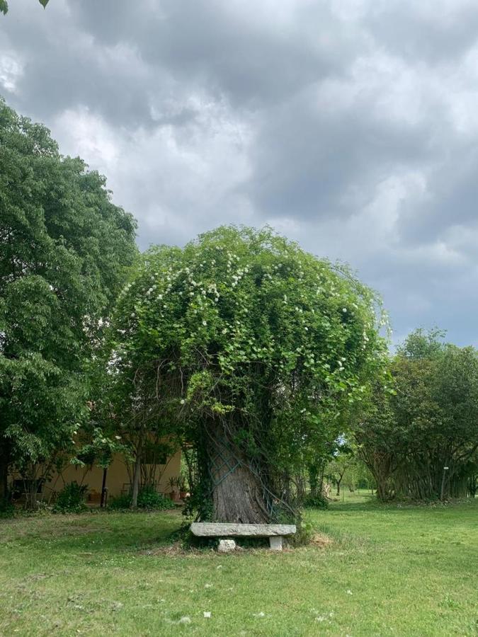 Agriturismo Corte San Girolamo Мантуя Экстерьер фото
