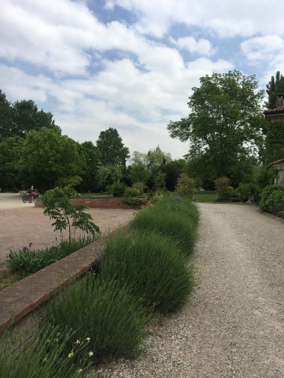 Agriturismo Corte San Girolamo Мантуя Экстерьер фото